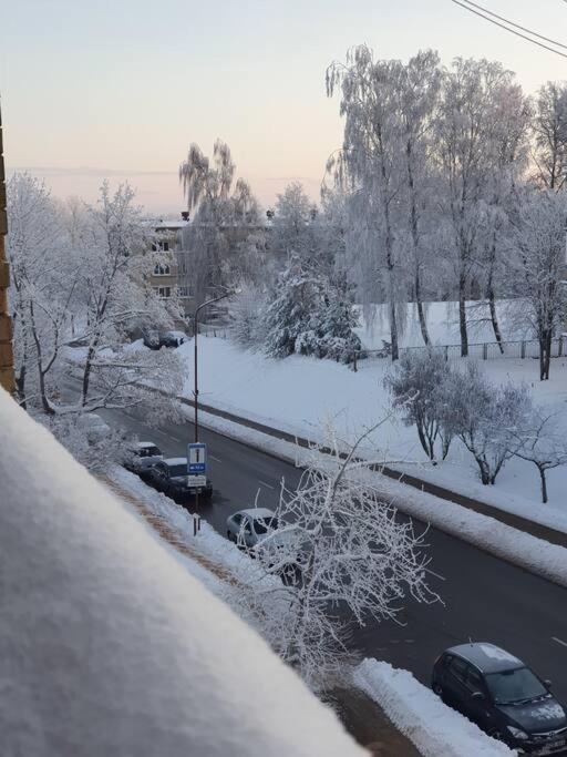 Apartaments In Siauliai Center Kültér fotó