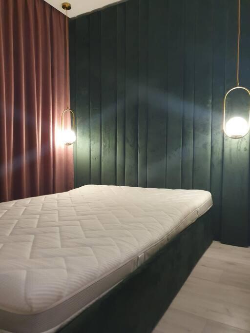 Apartaments In Siauliai Center Kültér fotó